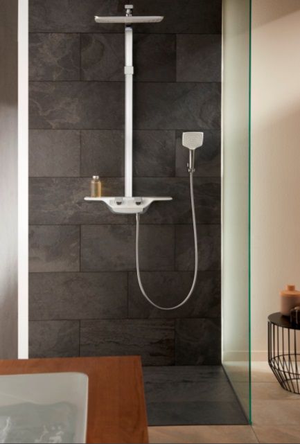 купить Верхний душ Kludi Freshline 6440005-00 прямоугольный хром/белый