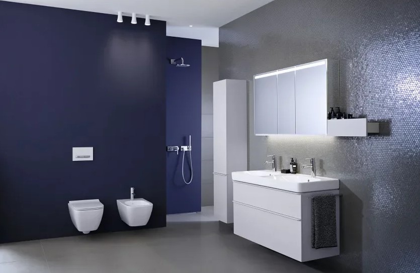 купить Двойная раковина Geberit Selnova Smyle 500.223.01.1