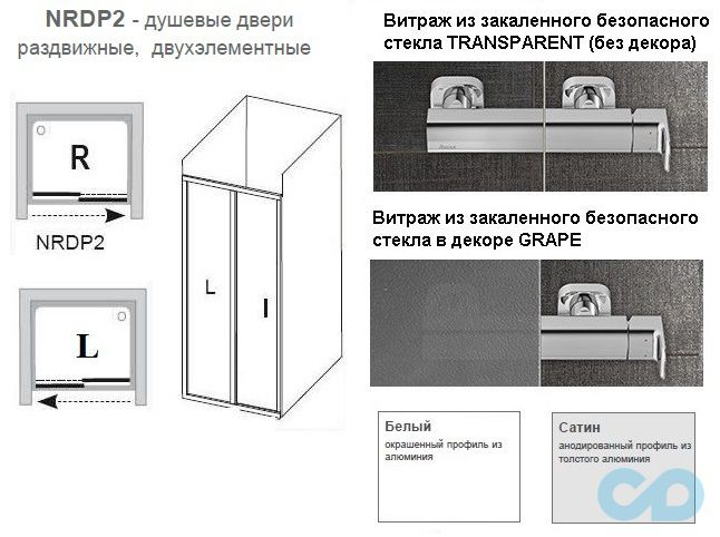 техническая схема Душевые двери Ravak Rapier NRDP2-100 0NNA010LZ1 белый+transparent