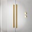 цена Раздвижная шторка для ванны Radaway Furo Gold PND II 100L 10109538-09-01L, 10112494-01-01