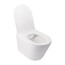 Унитаз подвесной с сиденьем Soft-close Qtap Swan QT16335178W купить