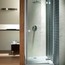 Душевая дверь Radaway Almatea DWJ 120 правая 31502-01-01N